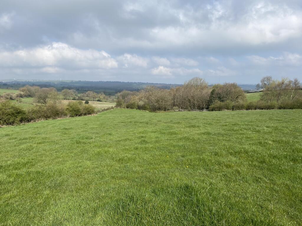 Grassland