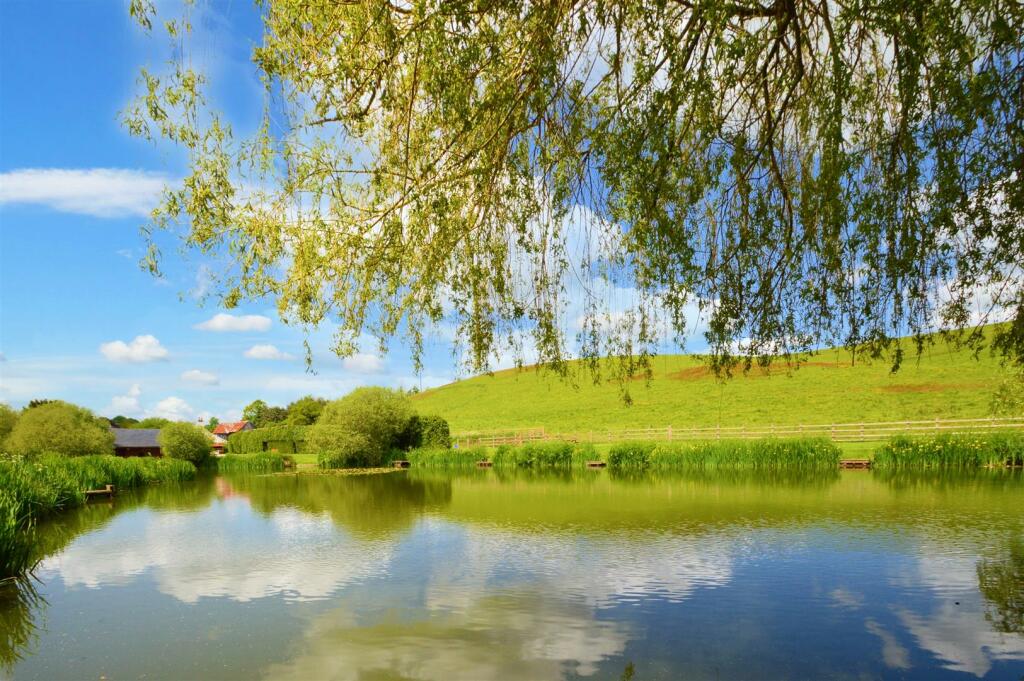 Fishing Lake