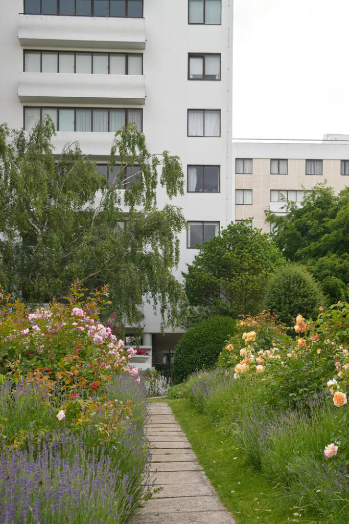 219148 - _DSC6559.jpg