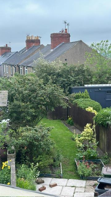 over lane 6 garden.jpeg