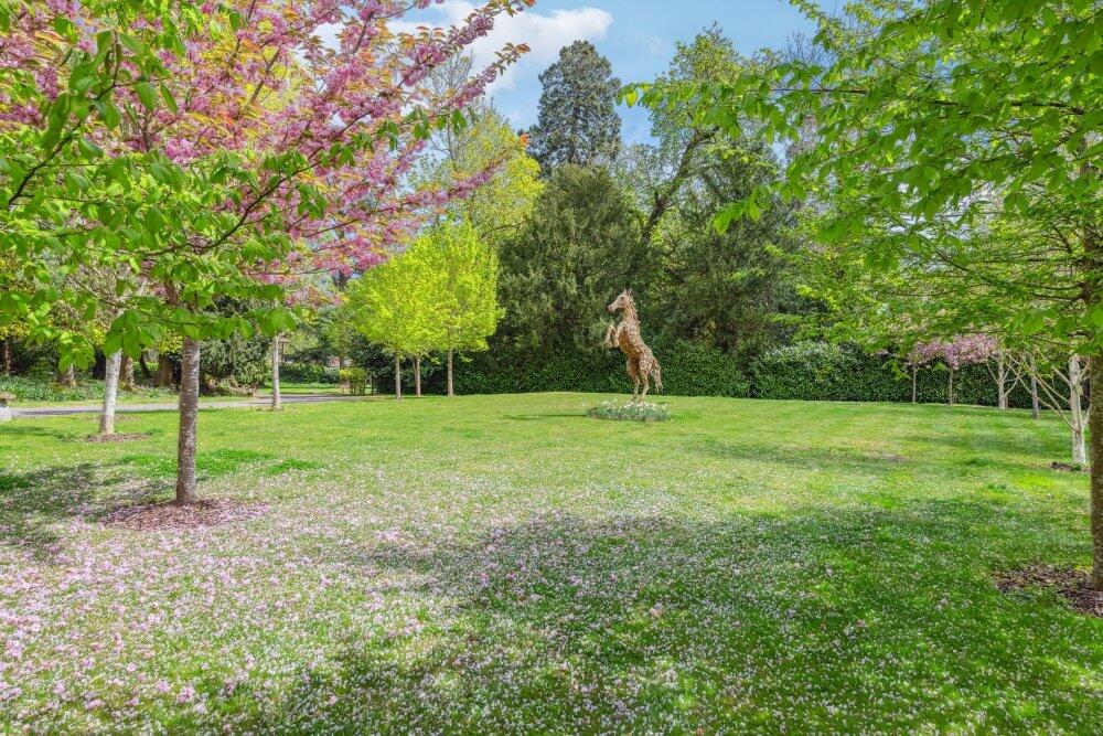 Grounds