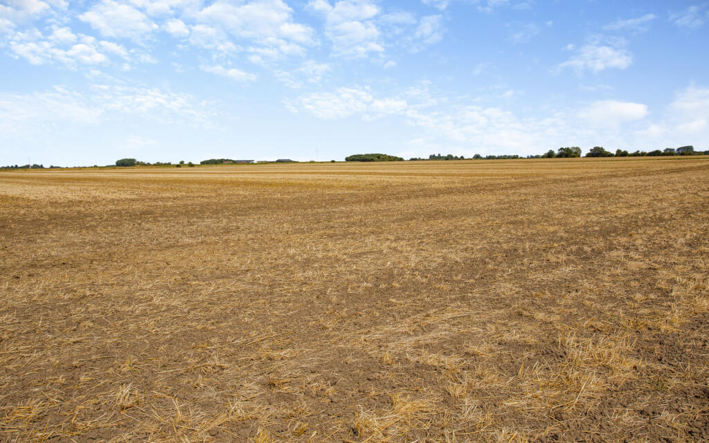 Land