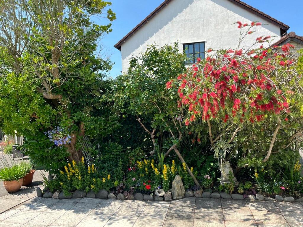 Picture 26