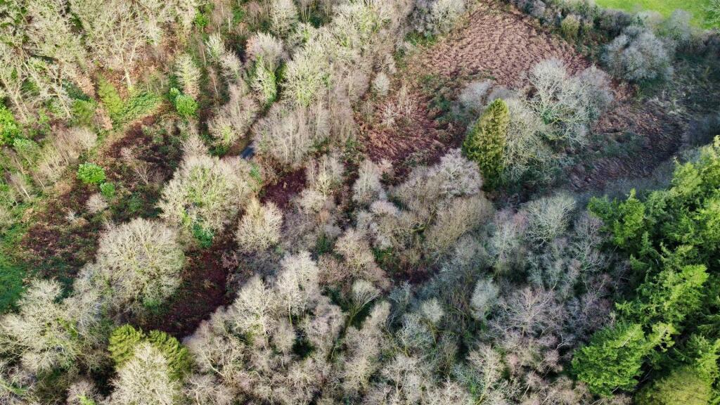 dji_fly_20241223_101048_58_1734948657660_photo_opt