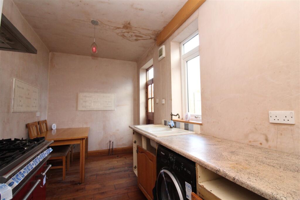 IMG 7352  Medium  T202511251635.jpg