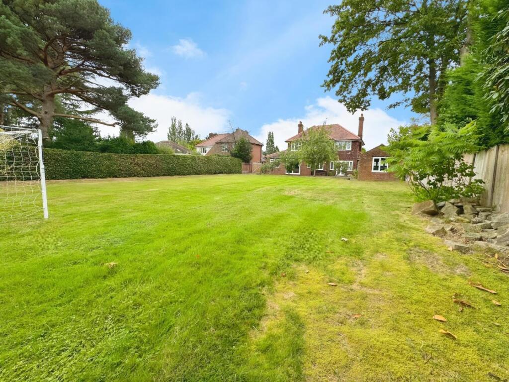 user_edited_photo-0cbf08f6_user-edited-37adb391-7a