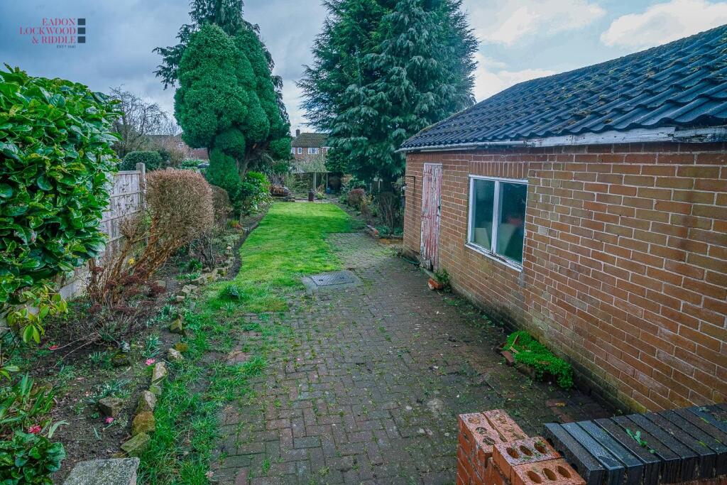 Back garden