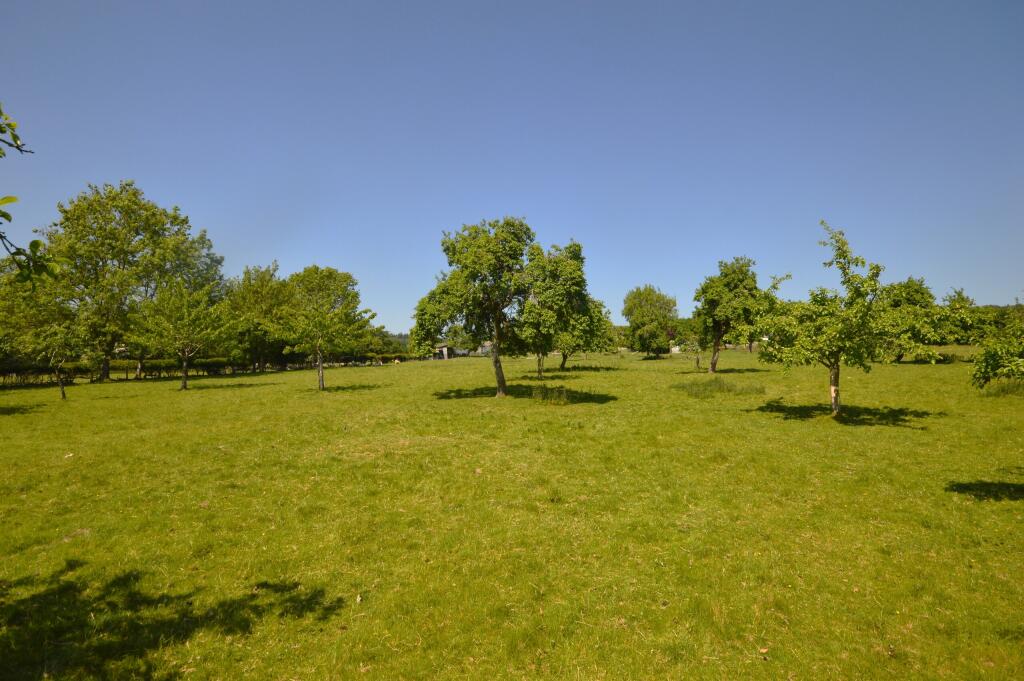 PADDOCK LAND