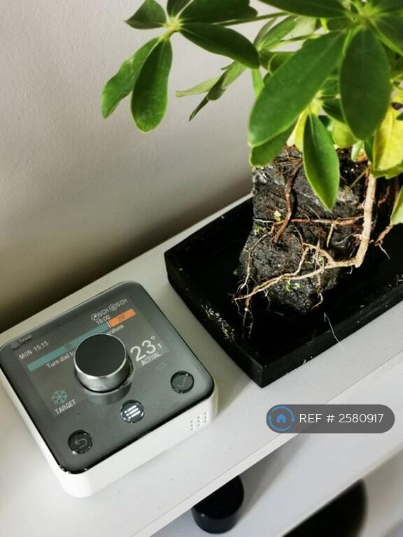 Hive Heating