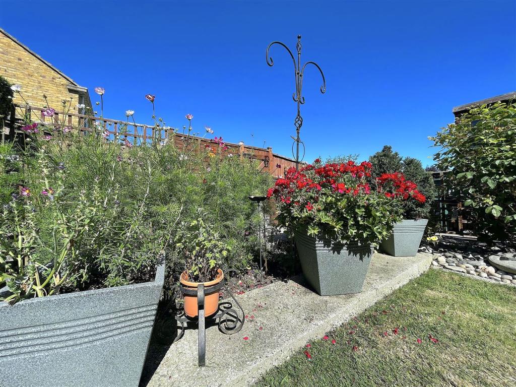 Garden (6).jpeg
