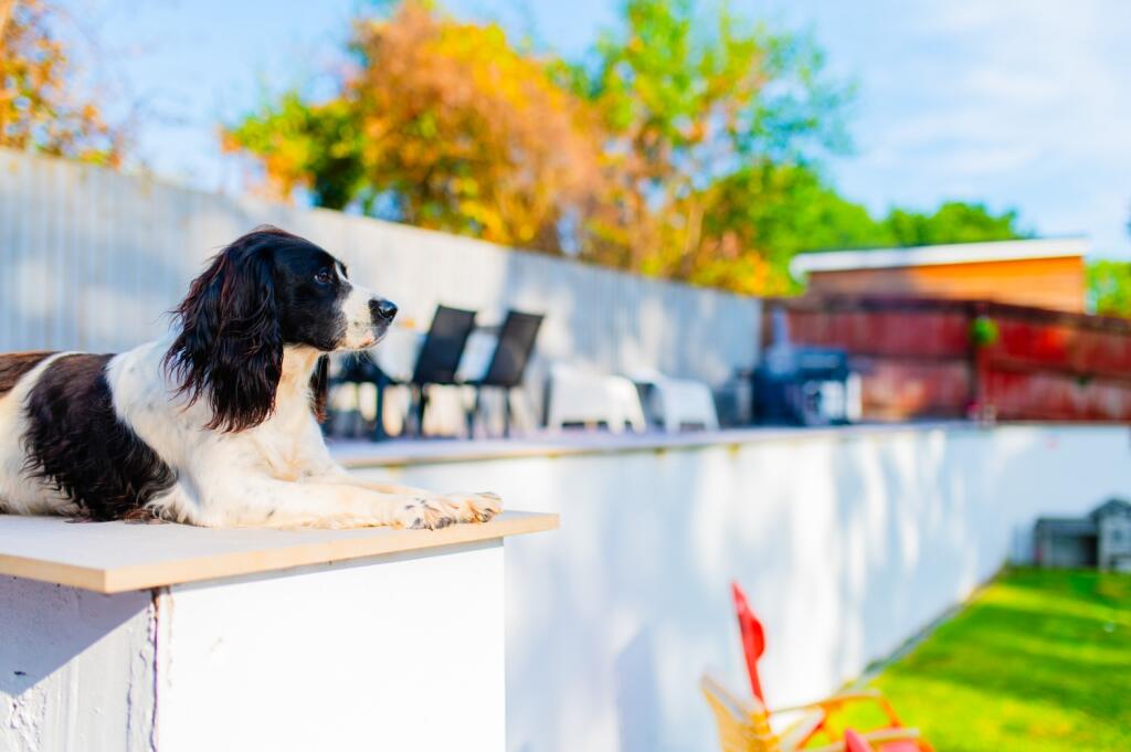 Award-winning Media team on EVERY Listing_20