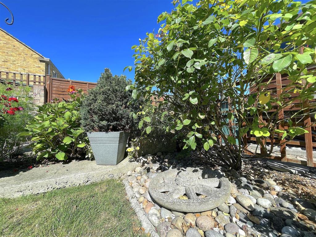 Garden (7).jpeg