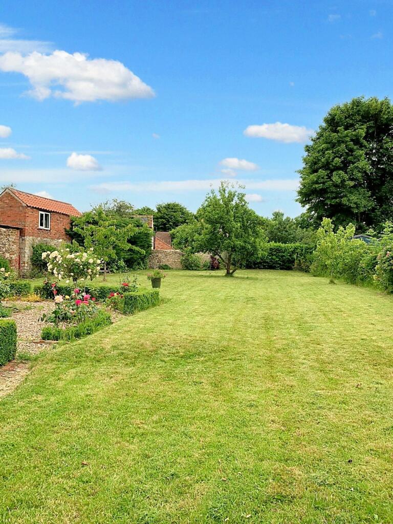 Garden In Summer