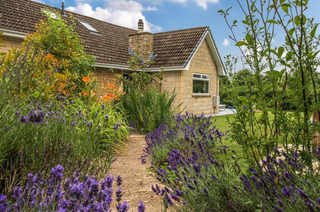 1-1312410-1-6856a051608cc-ARWc (23).jpg