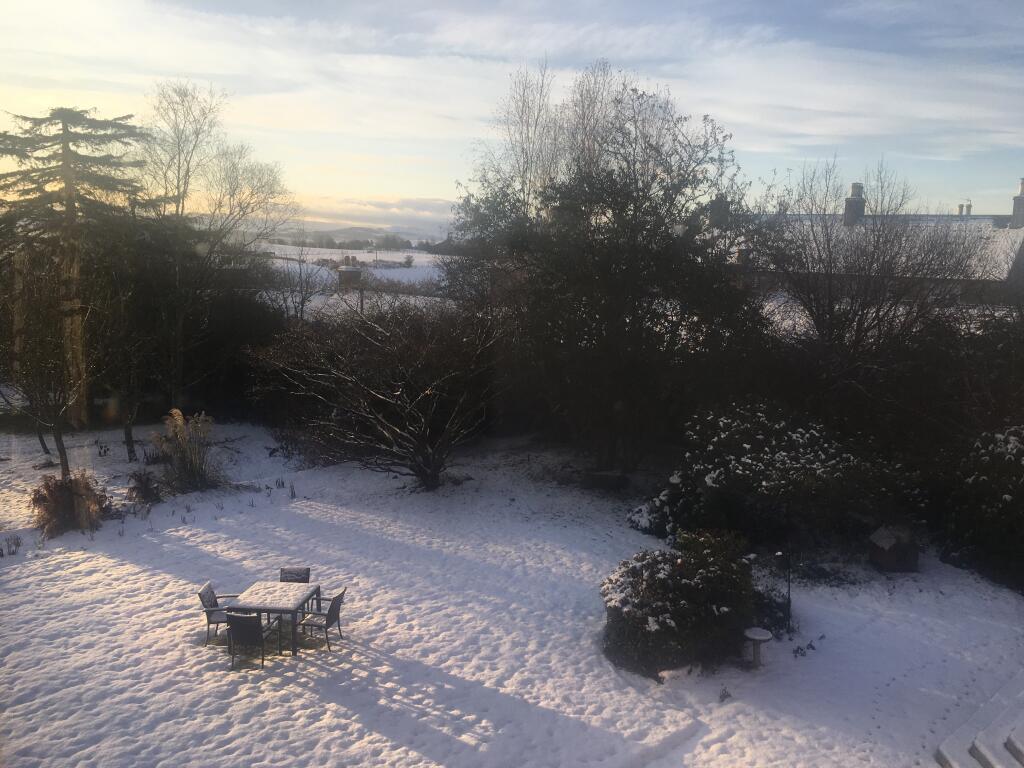 Winter View