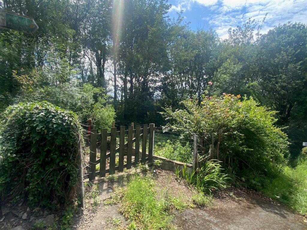 new side garden.jpg