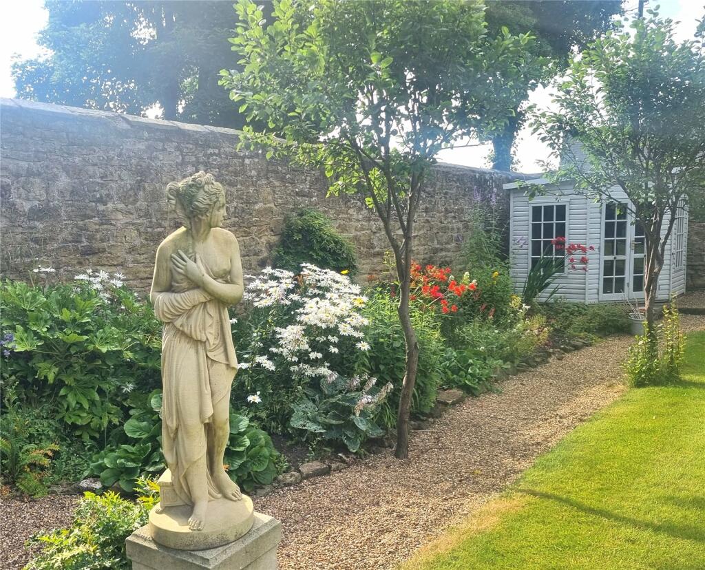 Back Garden