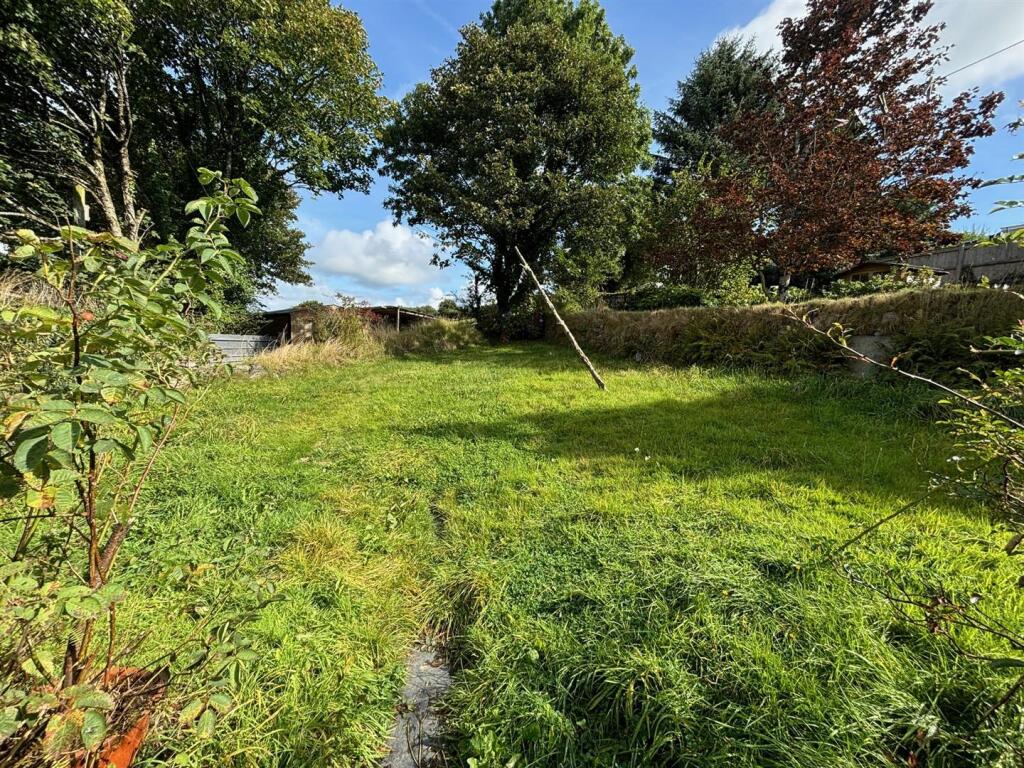 garden.jpg
