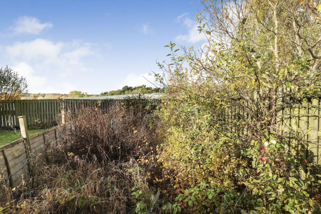 new garden pic 3.jpg