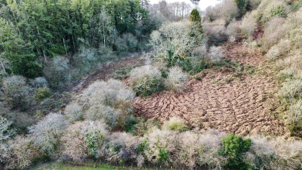 dji_fly_20241223_100856_51_1734948603665_photo_opt