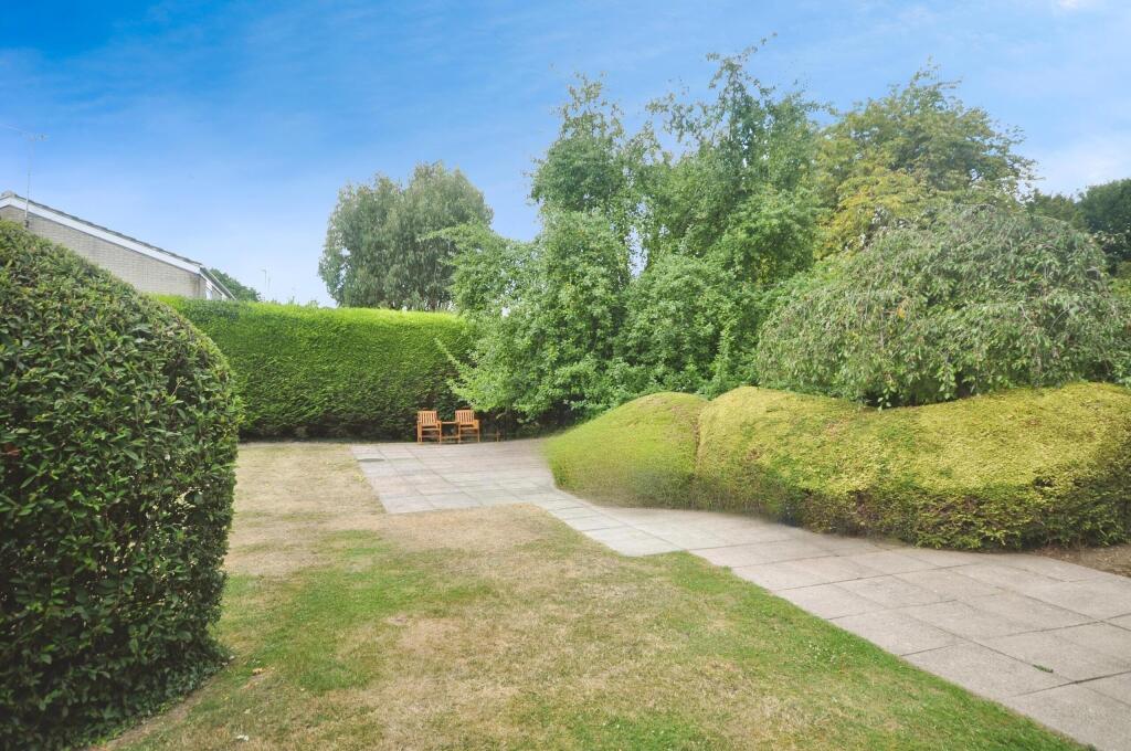 user_edited_photo-4358a252_user-edited-180d11d6-a6