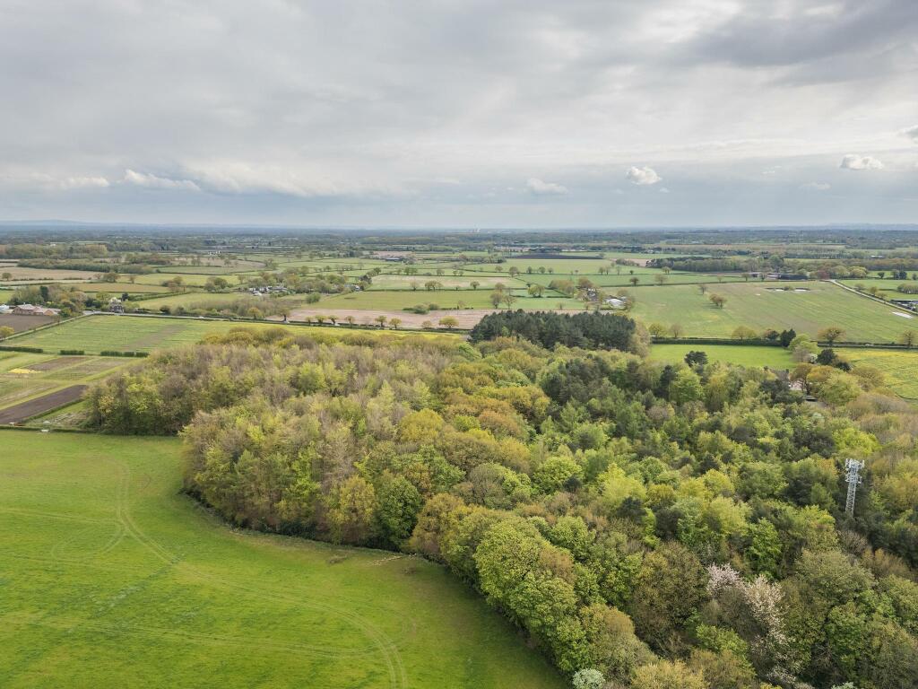 20240410-DJI_0860.jpg