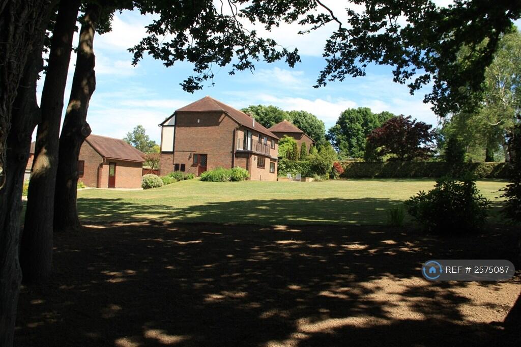 View From Under Trees In Garden