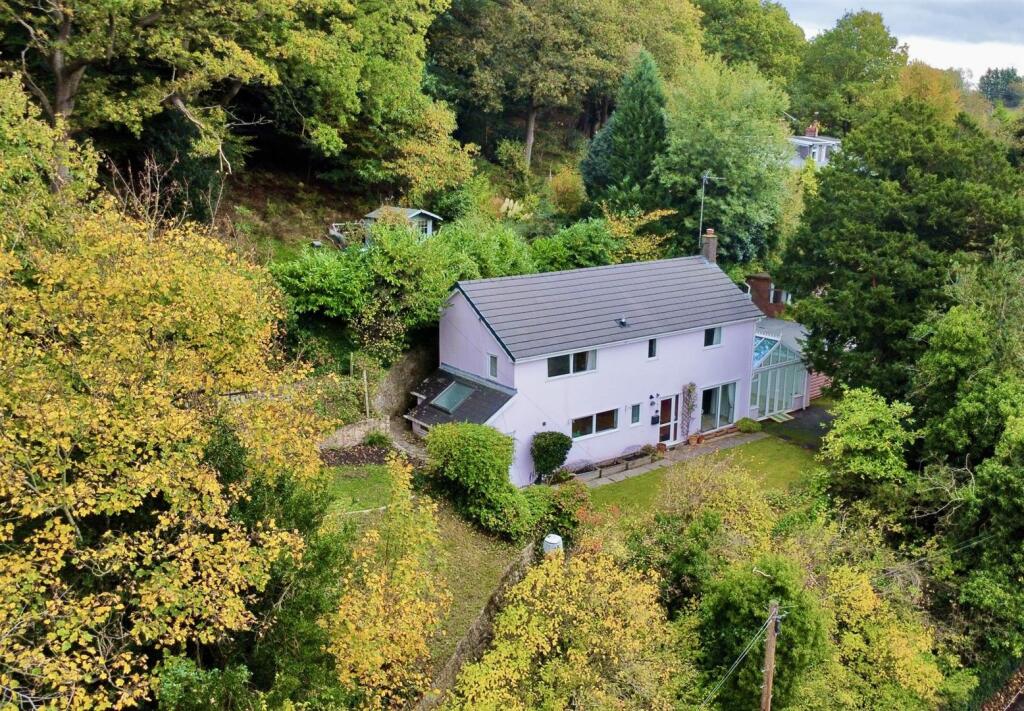 Drone view