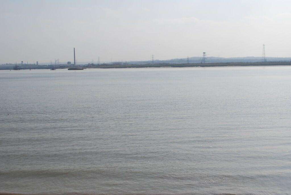 Panoramic River View
