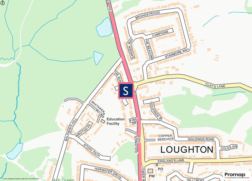 p Promap-3372727-...