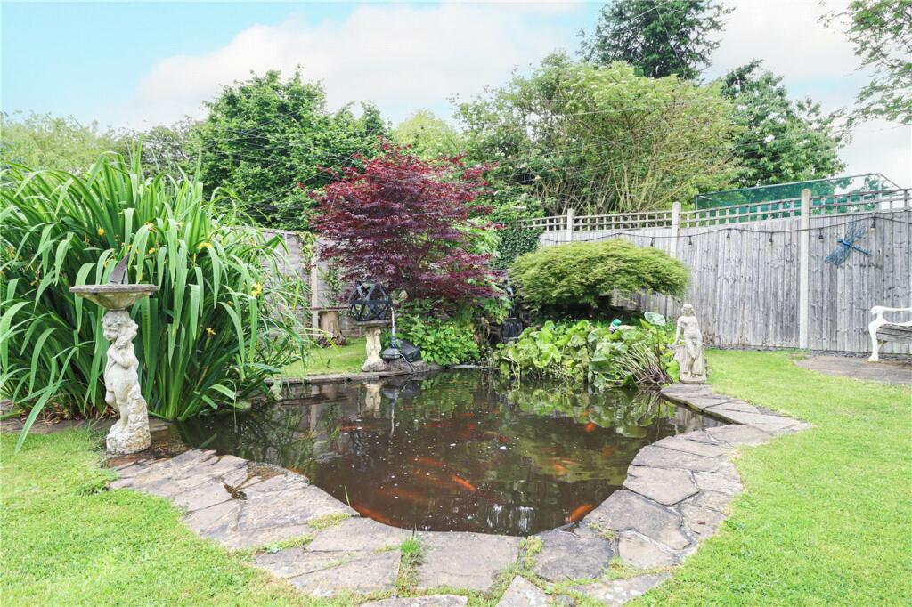 Pond