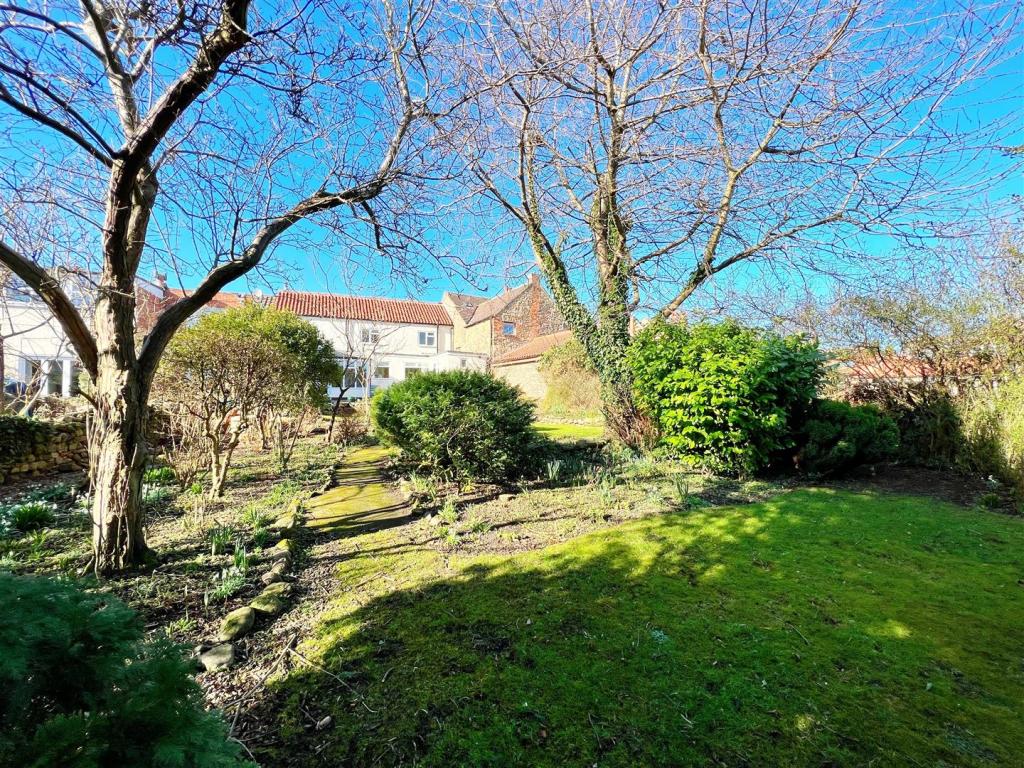 Garden 11.jpg
