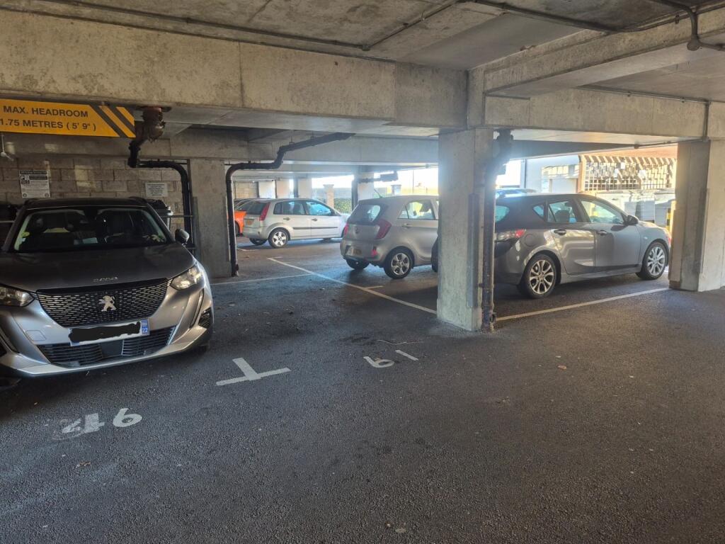 242D7673-C5AF-4009-A0DA-BFFFF669651F T202601071028.jpg