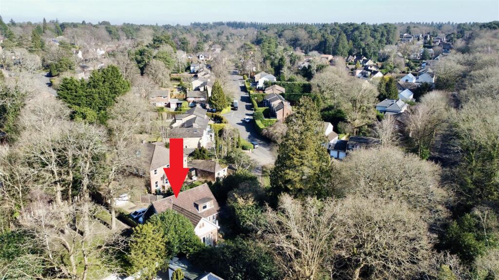 dji_fly_20250304_113226_288_1741093462774_photo_op