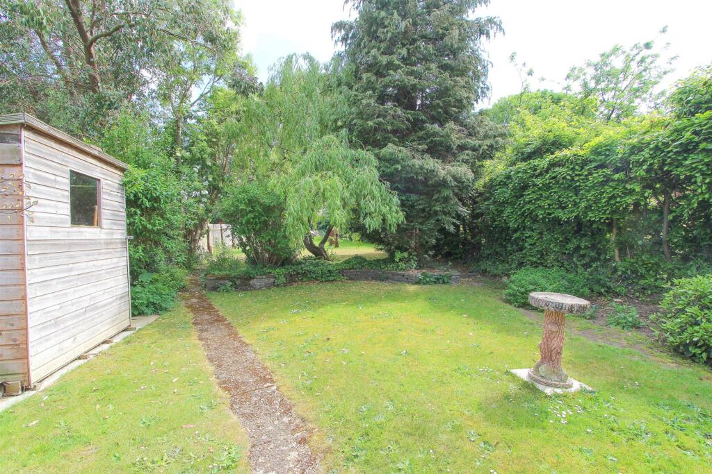 garden c.jpg