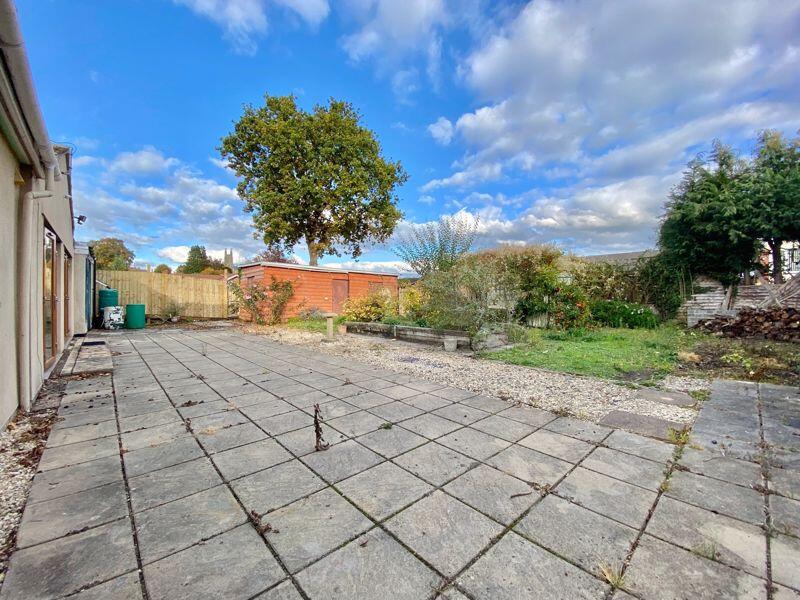 The Rear Garden