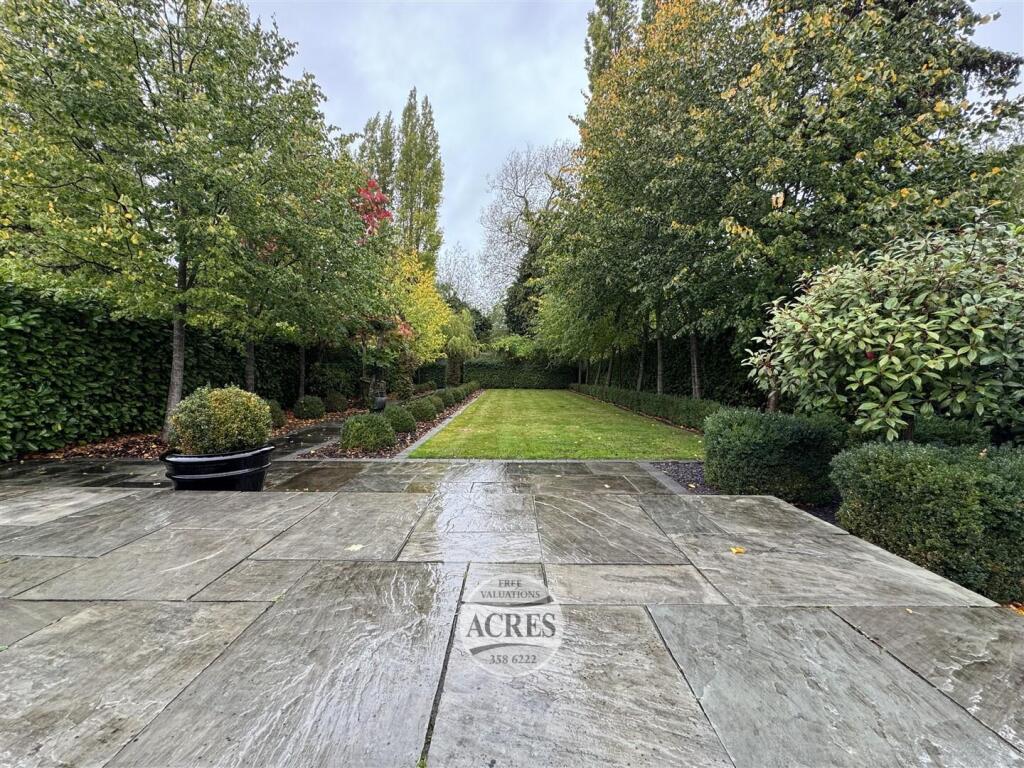 IMG_8354 (Large).jpg