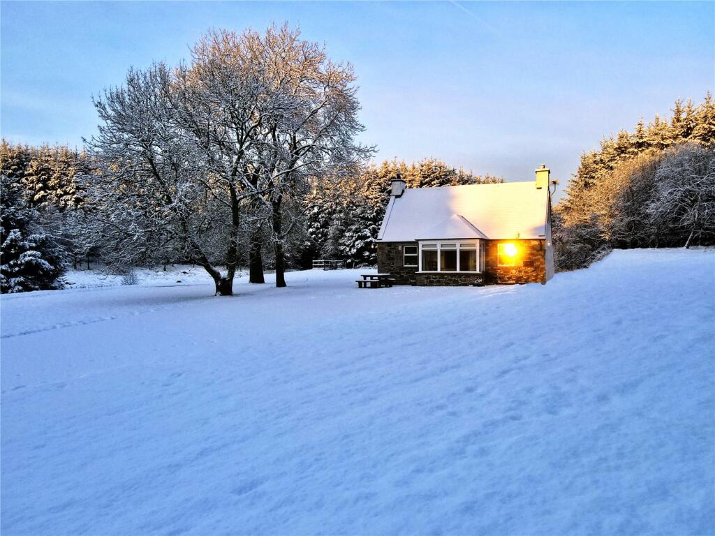 Winter Scene