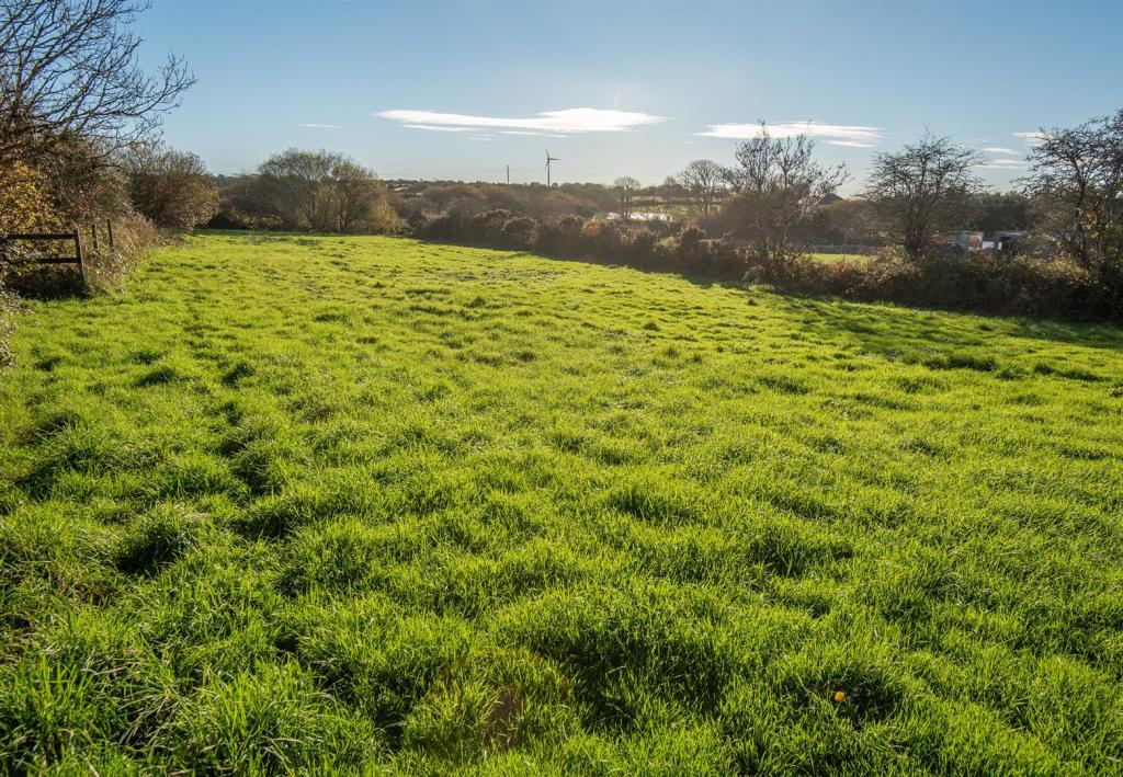 Site facing south.jpg