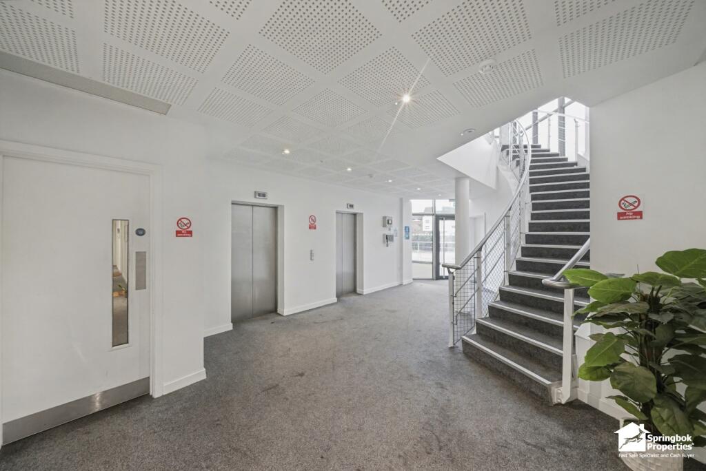 IMAGE 10