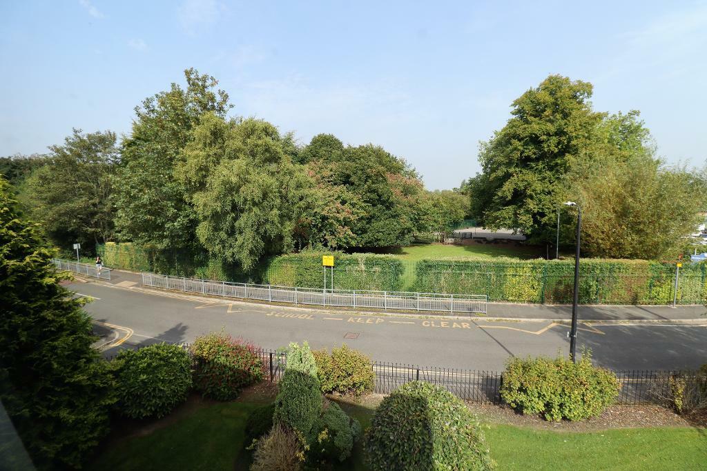 View from Kitchen