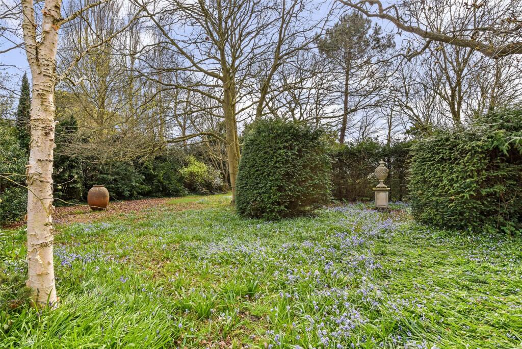 Wooded Area