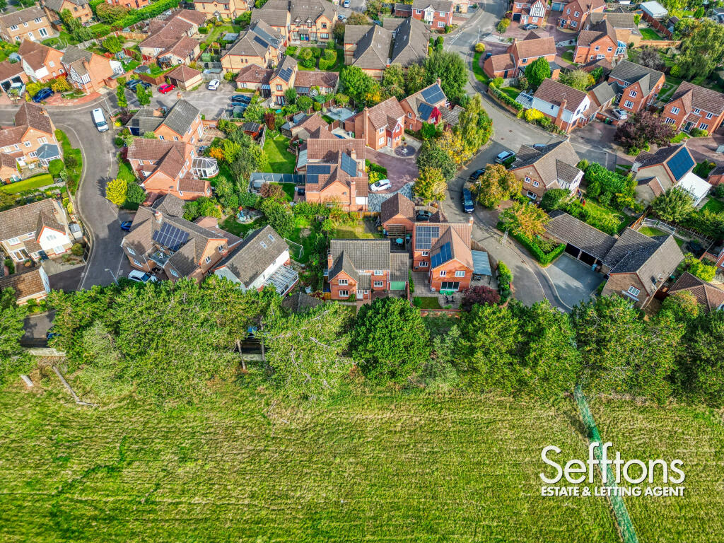 DJI_0667_10