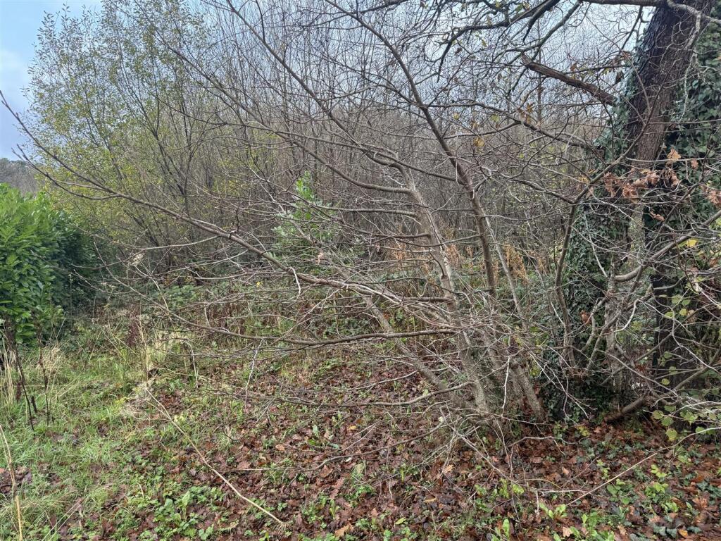 IMG_3548.jpeg