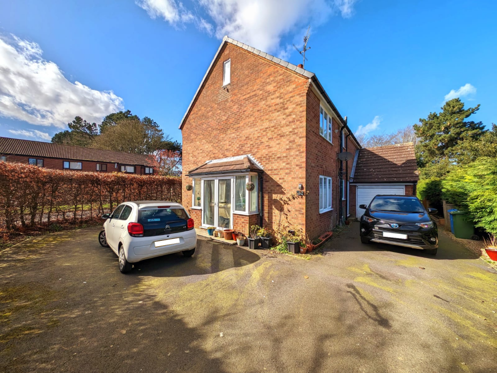 Untitled design - 2024-03-28T172149.497