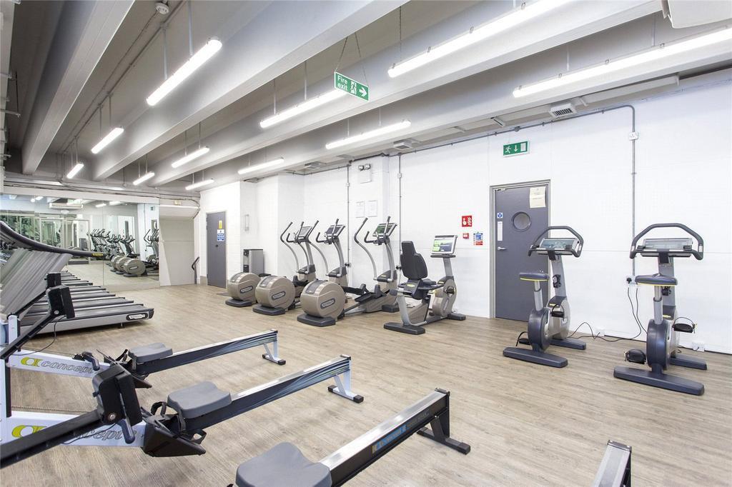 Gym 2.jpg
