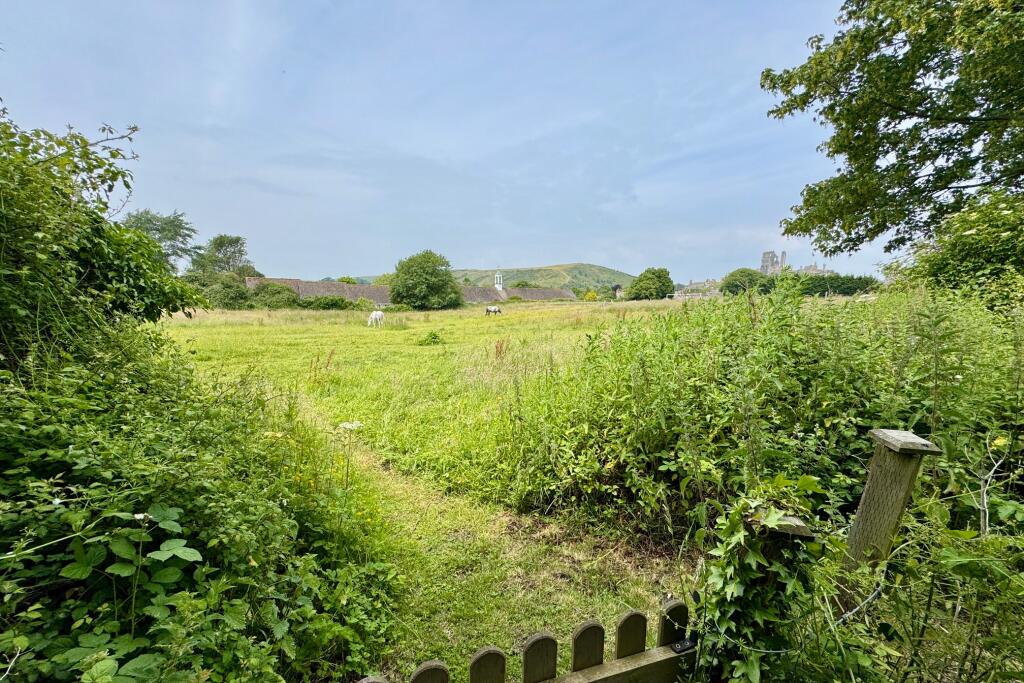 Adjoining Halves Common