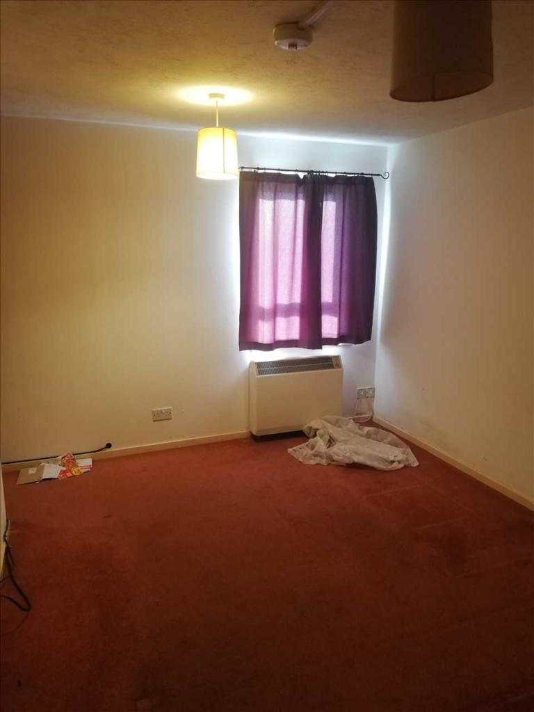 Living Room/Bedroom