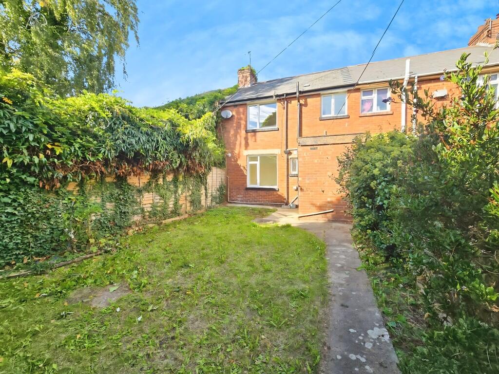 4a6f2840-Back 20v...