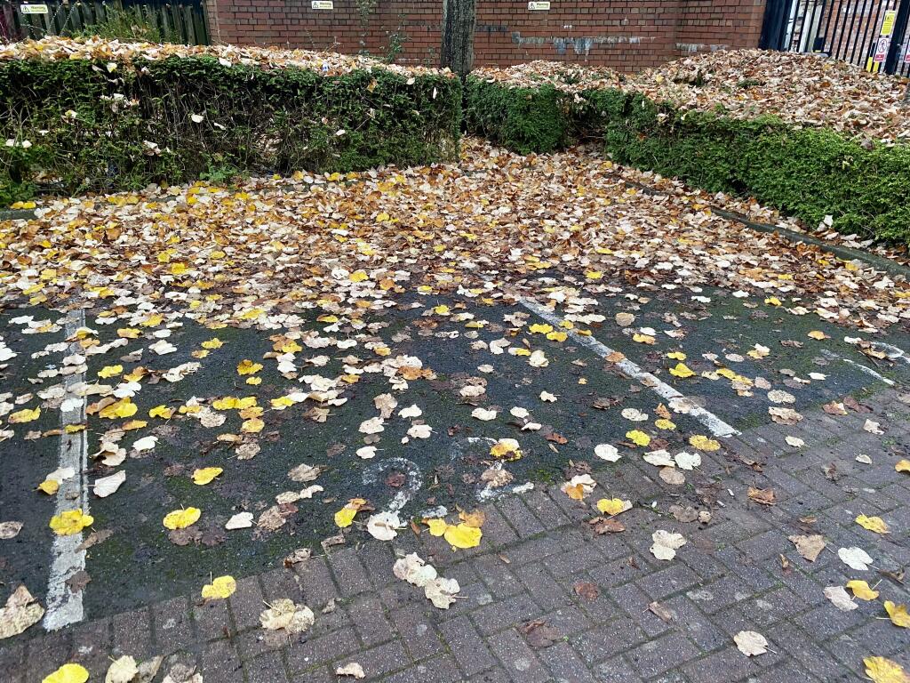 Car Park Space